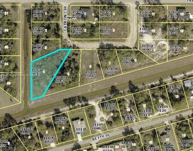 Lehigh Acres - Land