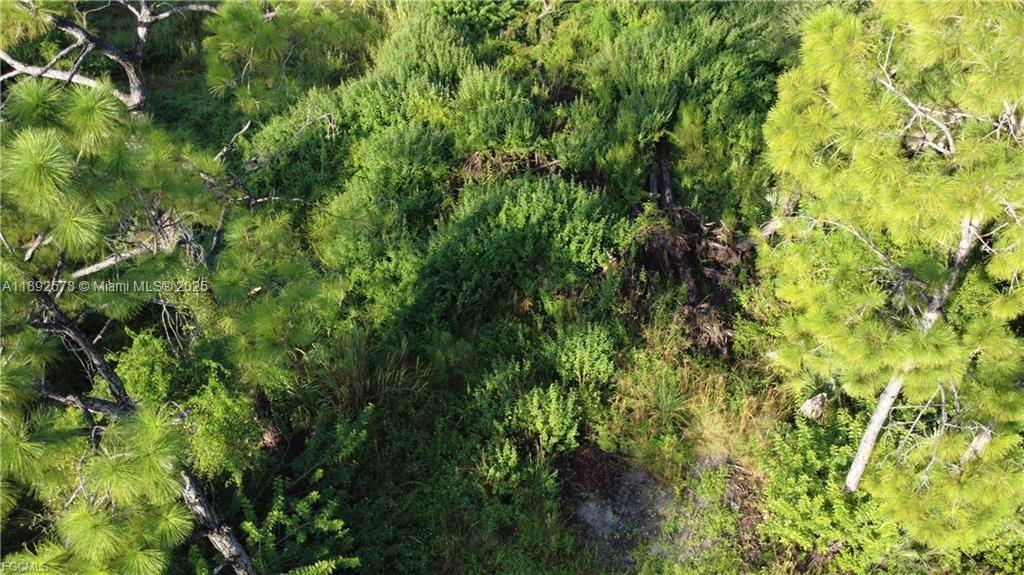 Lehigh Acres - Land