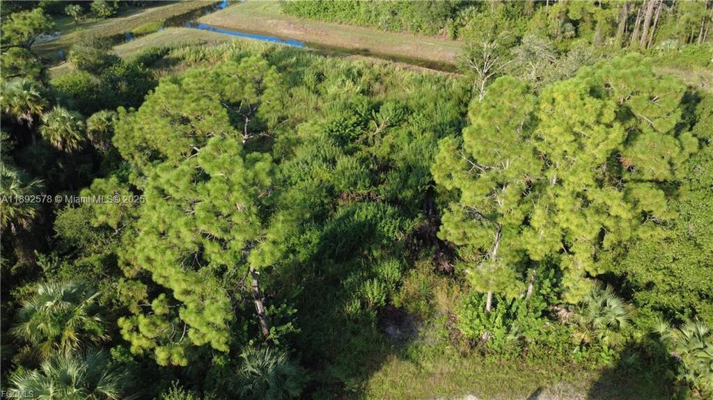 Lehigh Acres - Land