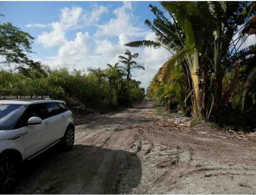 Exceptional opportunity to own 4.85 acres of vacant land in unincorporated Miami-Dade County! This rectangular parcel sits just outside the Urban Development Boundary (UDB), offering agricultural zoning (AU) with potential for building a new single-family residence.
The property features level terrain, no existing structures or improvements, and is accessed via a dirt road. Enjoy rural privacy while still being within minutes of Homestead and US-1, providing strategic access to nearby amenities. Ideal for buyers seeking space, long-term investment, or future development with proper permits. Located in FEMA Flood Zone A. Comparable lot one block south recently sold for $300,000 in April 2025—don’t miss this opportunity!
Call or text Co-Agent for more info.