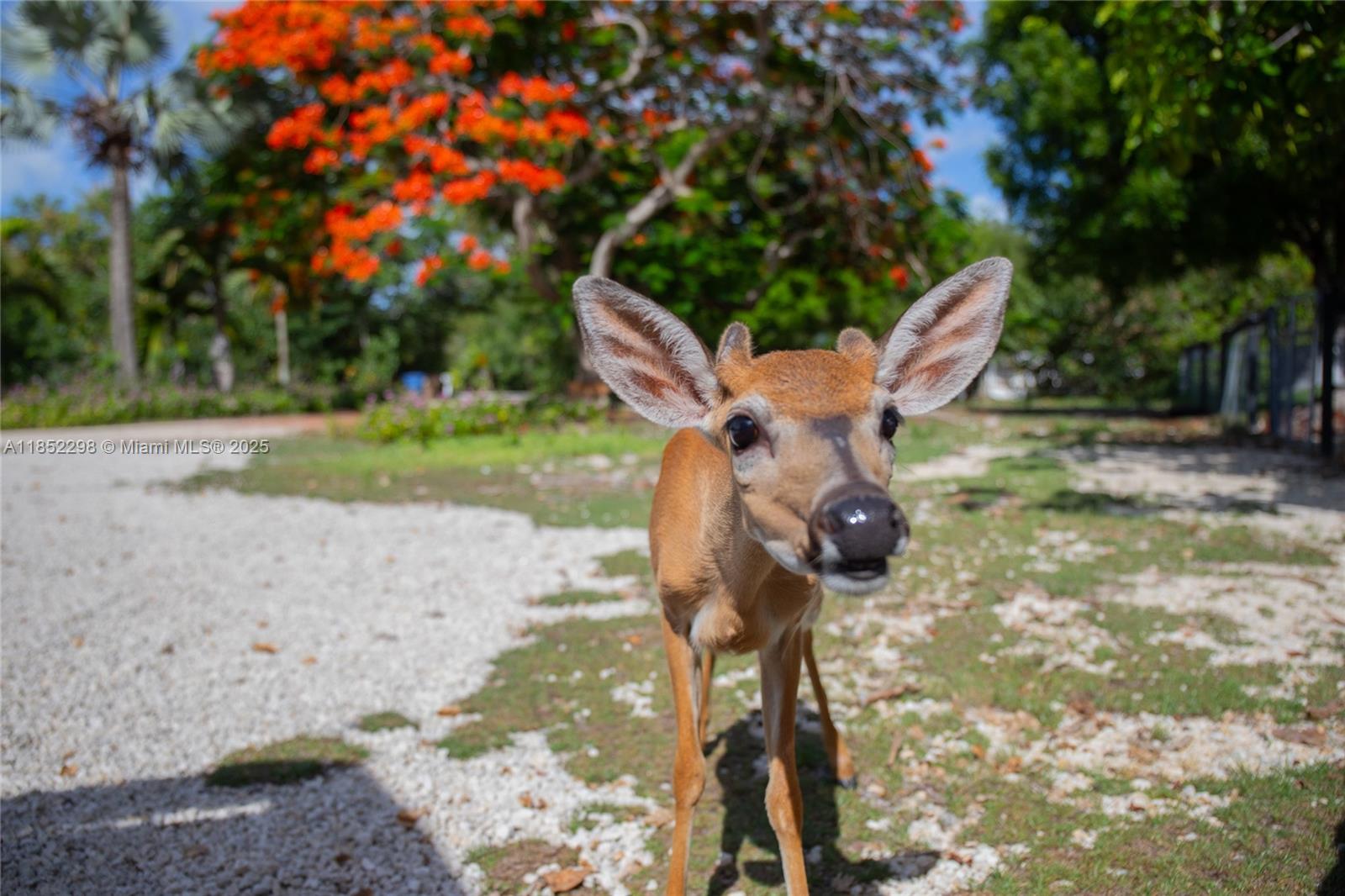 Misc Middle Torch Key 28 - Residential