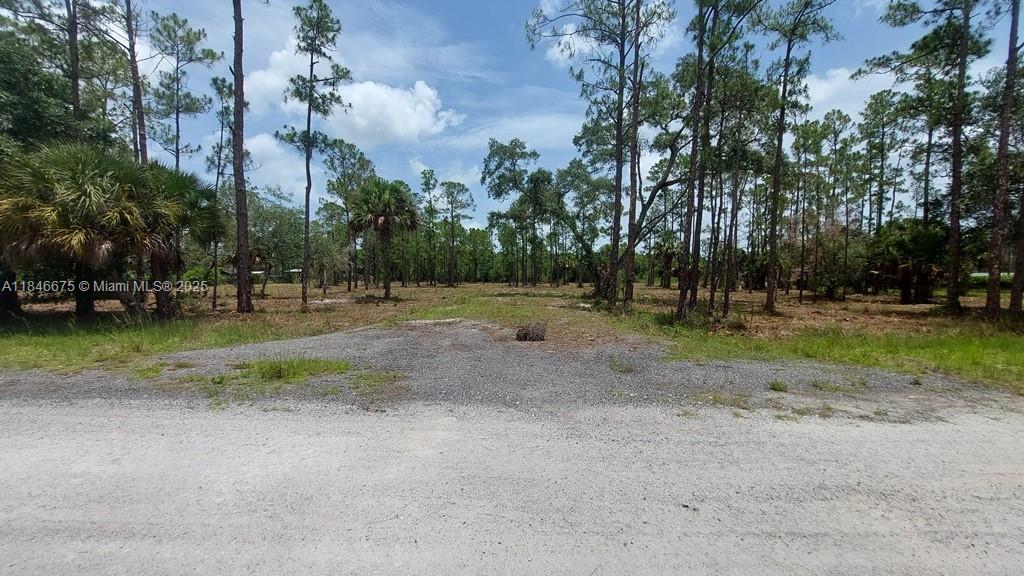 2.5 Acre Parcel in Montura Ranch Estates. Property just had the Driveway with Culvert installed and the whole Parcel fully cleared and mulched, leaving a handful of beautiful Pine and Oak Trees. Recent Survey done so it is ready to fence as desired with adjacent lot already fenced. Excellent located lot, High & Dry in a X Flood Zone. Property is very close to CR833 and just blocks away to CR832 with great access to connect to SR80, US27, CR846, CR835. This Cross Road makes it easy to get to surrounding locations and highways, Clewiston, LaBelle, Immokalee, Naples, Ft Myers, Lehigh Acres, Big Cypress Reservation, I-75, etc.… Ready to make plans to use as a Farm, Recreation or Build Modular, Manufactured CBS Home as desired. Great Location, Map it om Google Maps.