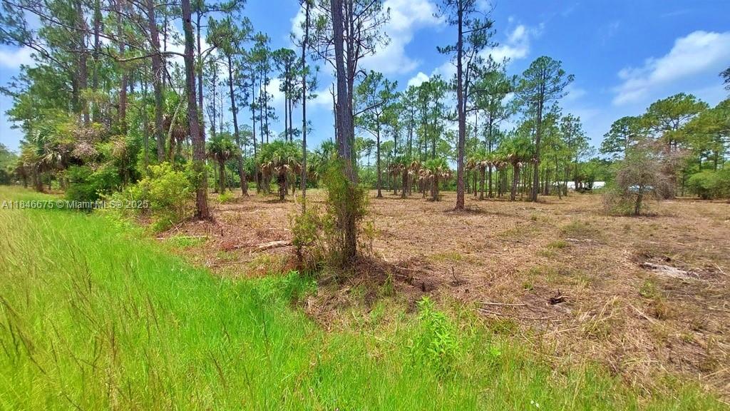 MONTURA RANCH ESTATES - Land