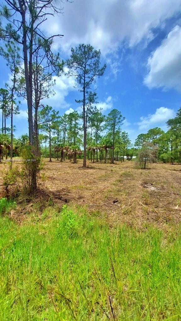 MONTURA RANCH ESTATES - Land