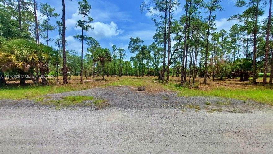 2.5 Acre Parcel in Montura Ranch Estates. Property just had the Driveway with Culvert installed and the whole Parcel fully cleared and mulched, leaving a handful of beautiful Pine and Oak Trees. Recent Survey done so it is ready to fence as desired with adjacent lot already fenced. Excellent located lot, High & Dry in a X Flood Zone. Property is very close to CR833 and just blocks away to CR832 with great access to connect to SR80, US27, CR846, CR835. This Cross Road makes it easy to get to surrounding locations and highways, Clewiston, LaBelle, Immokalee, Naples, Ft Myers, Lehigh Acres, Big Cypress Reservation, I-75, etc.…  Ready to make plans to use as a Farm, Recreation or Build Modular, Manufactured CBS Home as desired. Great Location, Map it om Google Maps.