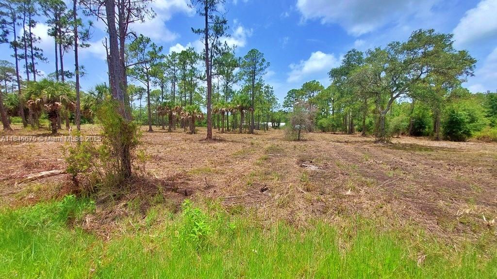 MONTURA RANCH ESTATES - Land