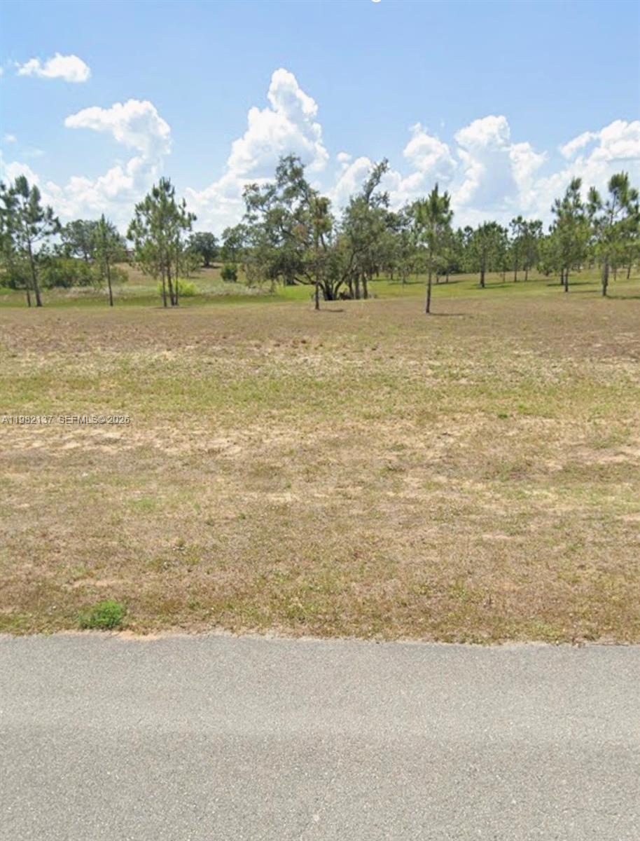 1009 ORANGE CREEK LN