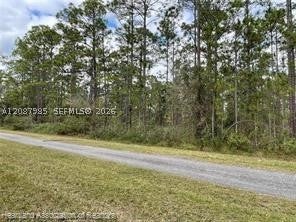 0 Oleander Drive
