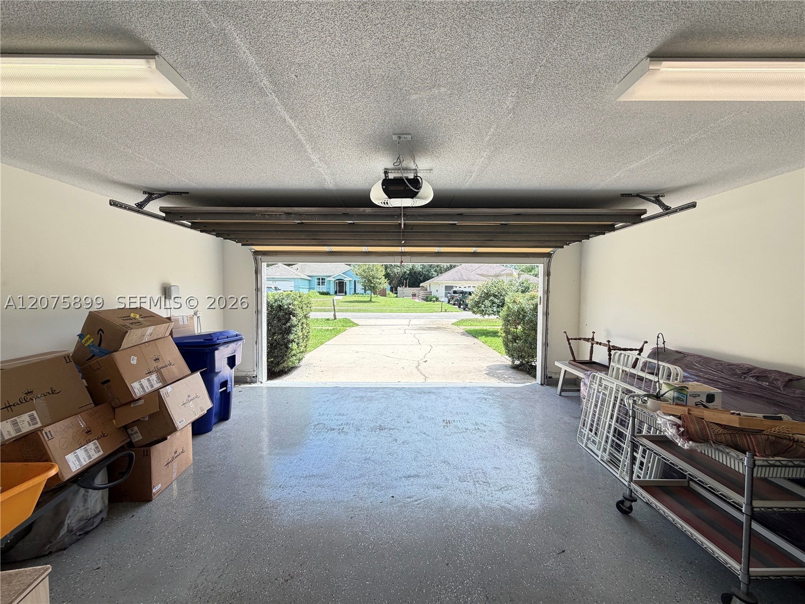 638 Aleida Dr.