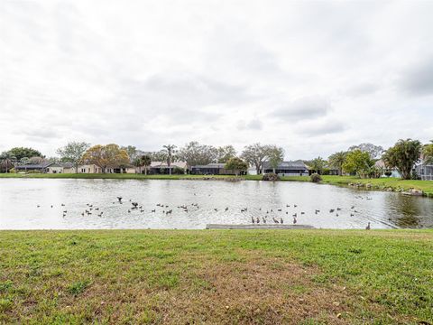 A home in Palm Shores