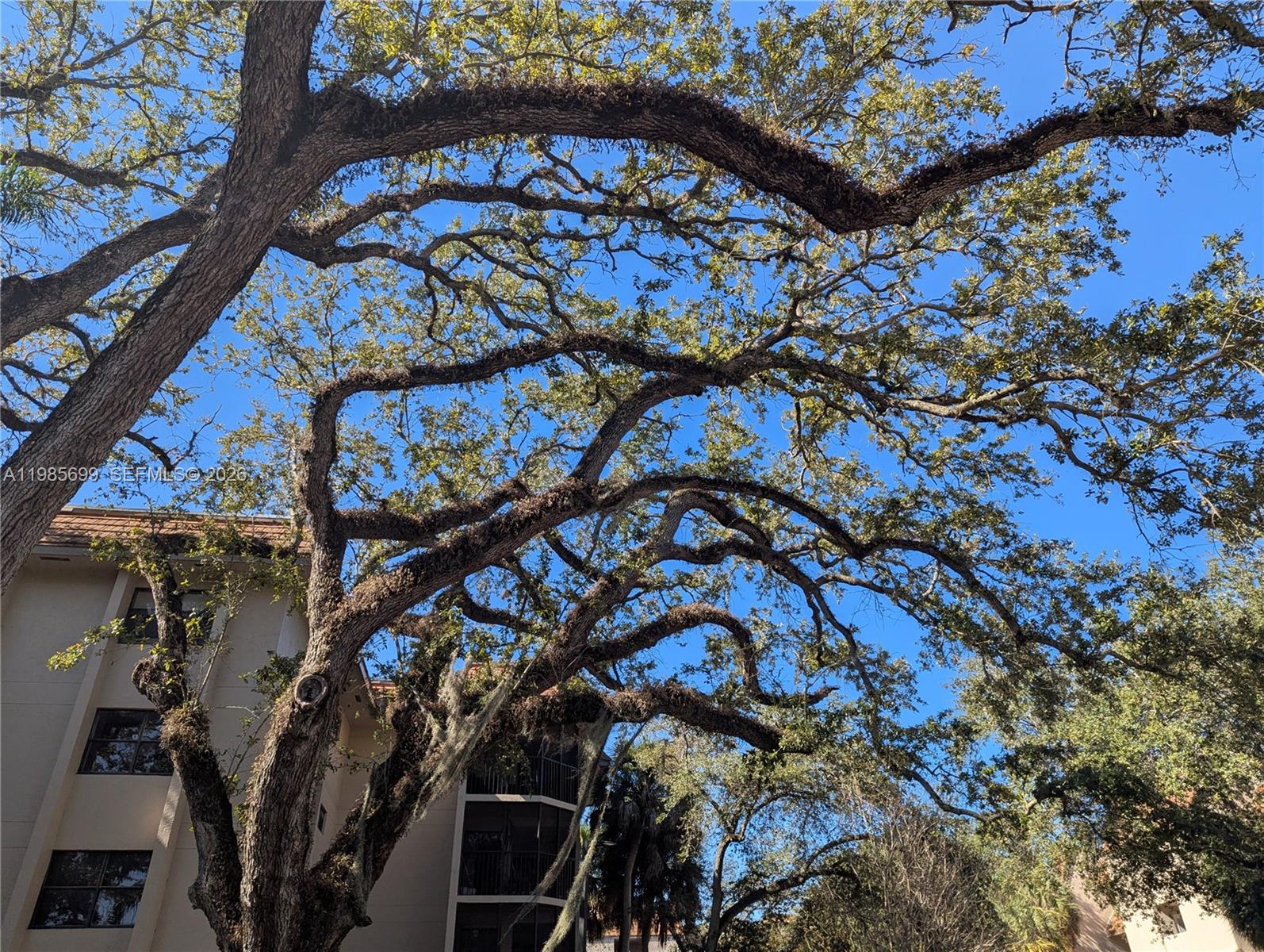 SUMMERTREE VILG CALIF CL - Residential