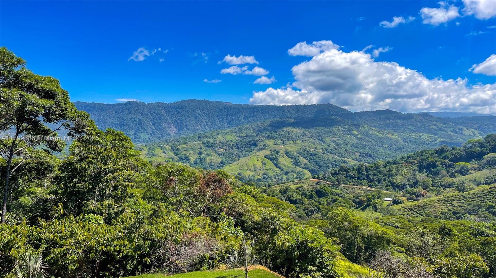 Escaleras - Residential