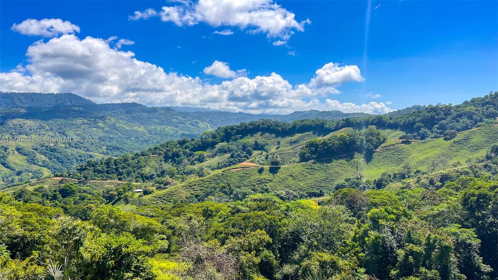 Escaleras - Residential
