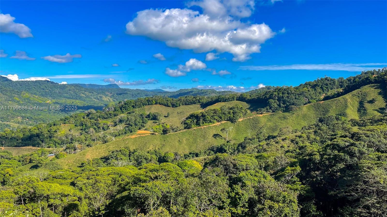 Escaleras - Residential