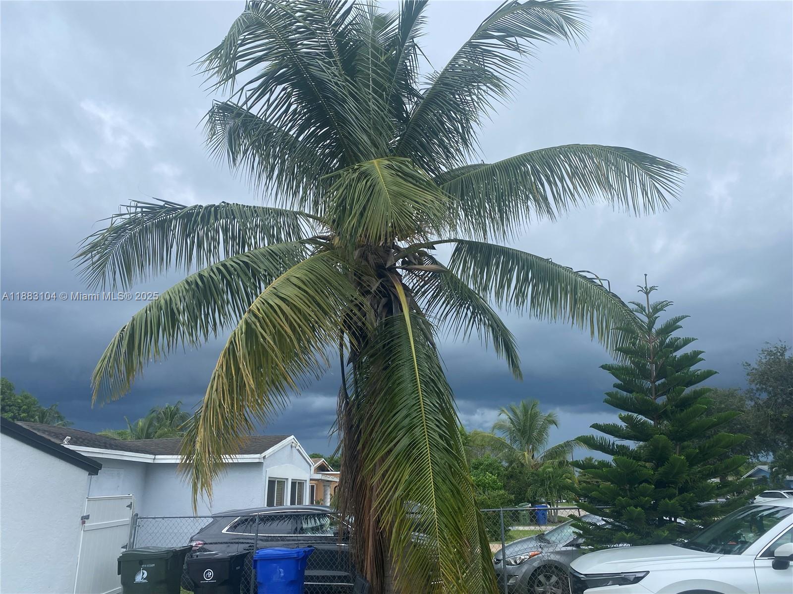 BREEZYWAY MANOR - Residential