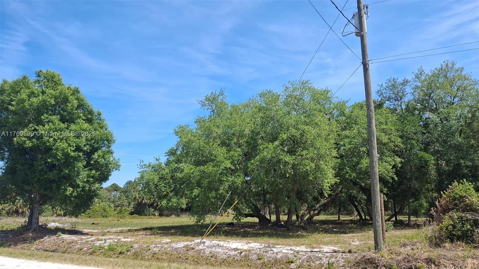 Lot and curb entrance has been done! This rural community of Montura Ranches is horse and golf cart friendly. You can have your farm animals and enjoy the camp style as well as enjoying the community pool house that residents are offered access to. This growing community is only 1.5 hrs from each coast: 65 miles from Weston, 90 Miles from Miami. Don't delay and buy your land today! No HOA. You can go directly to the property and call me or text me if you have any questions.