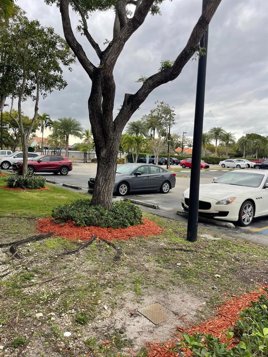 COVE CONDO PHASE II, THE - Residential