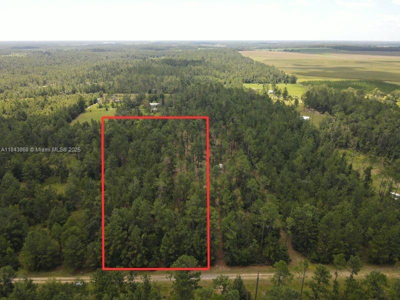 This spacious 2.93-acre lot in the quiet countryside of Lee, FL offers a prime opportunity to build, invest or create your ideal rural escape. With 282.05 ft of road frontage & dry, buildable terrain, this property is ready for your vision. Zoned for residential use; Suitable for site-built or manufactured homes; No HOA or deed restrictions; Lightly wooded & mostly flat. Power nearby; well & septic will be needed. Easy access to I-10. Nearby Suwannee River, Twin Rivers State Forest & Blue Springs. Local amenities within minutes. Surrounded by open fields, small farms & custom homes. Affordable acreage in a growing area; Excellent site for a private homestead or future investment; Strong resale & land appreciation potential. ALL INFORMATION FROM THE SELLER AND MUST BE VERIFIED BY THE BUYER!