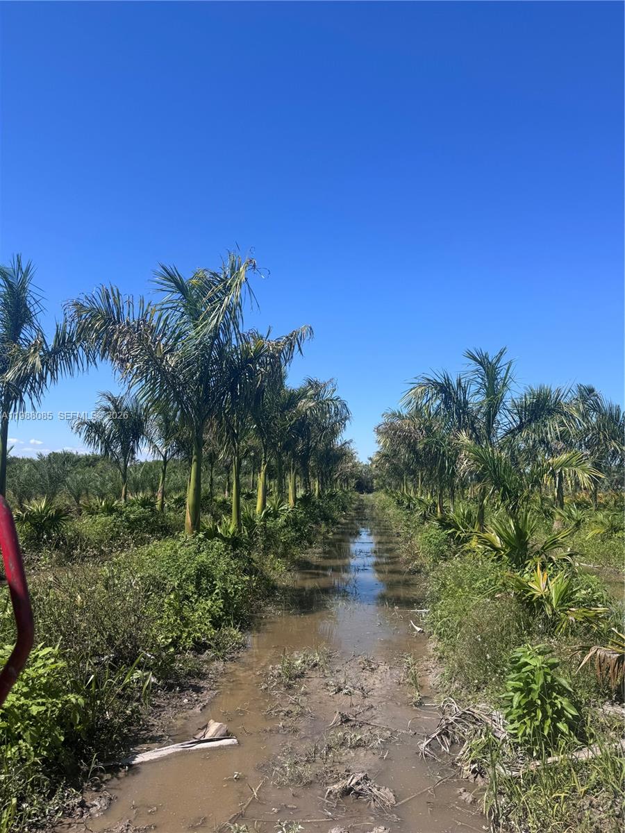 MIAMI LAND & DEV COS SUB - Land