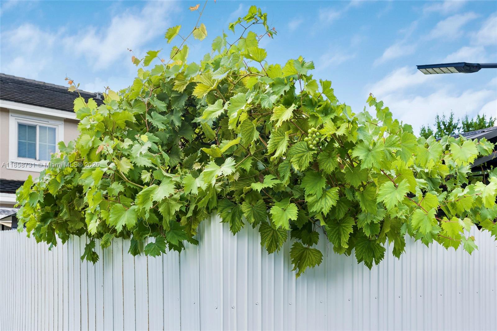 MANDARIN LAKES - Residential