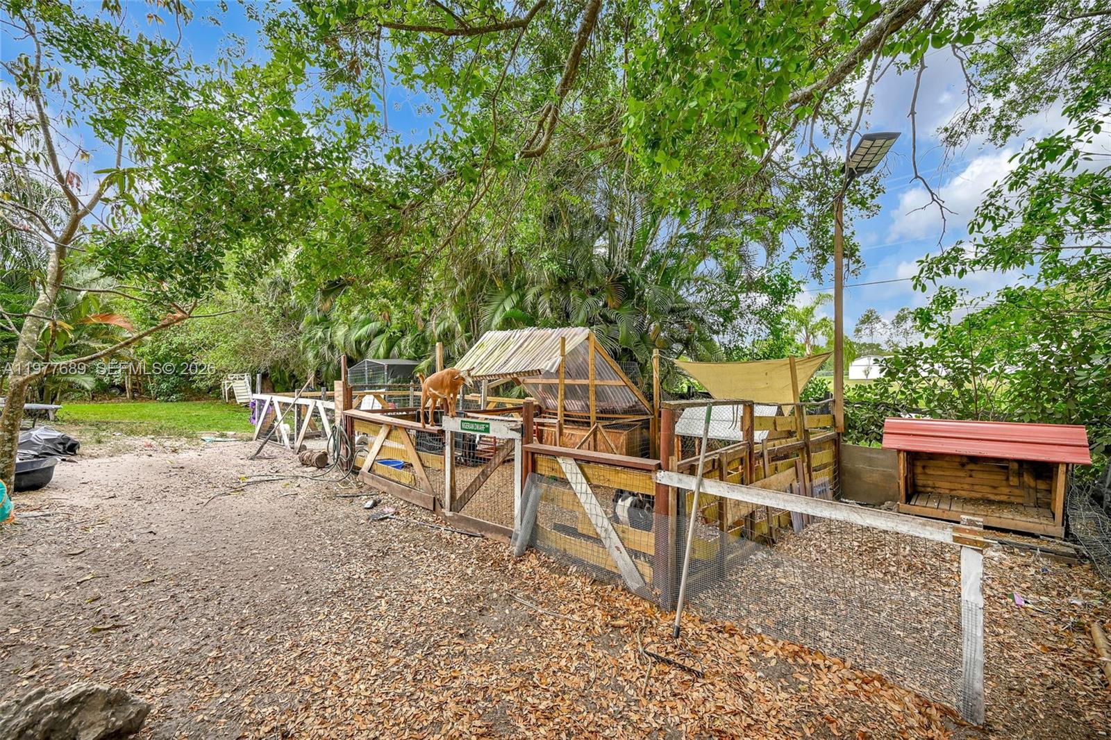 GRIFFIN 345 PLAT - Residential