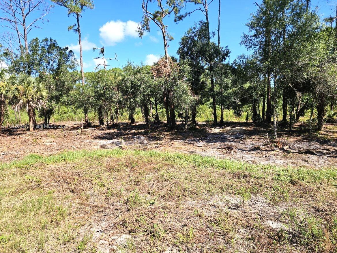 Montura Ranches - Residential