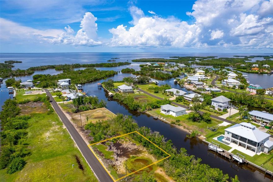 Are you looking for the perfect property to build your dream home? Direct sailboat access and only minutes from the Gulf of Mexico. Enjoy boating to the surrounding islands such as Cabbage Key, Sanibel, Captiva, and more! This property is conveniently located inside of Pirate Harbor. Pirate Harbor is a golf cart community on the edge of Charlotte Harbor, known for its exceptional fishing and boating. Numerous golf courses nearby along & Burnt Store Marina with public amenities & 27-hole golf course. Historic downtown Punta Gorda a short distance away. Enjoy shopping and dining. Only a short drive to Punta Gorda Airport or SW Florida International Airport. Property has wetlands and there are mitigation fees required in order to build. Contact for more information. WATCH THE VIRTUAL TOUR!!!