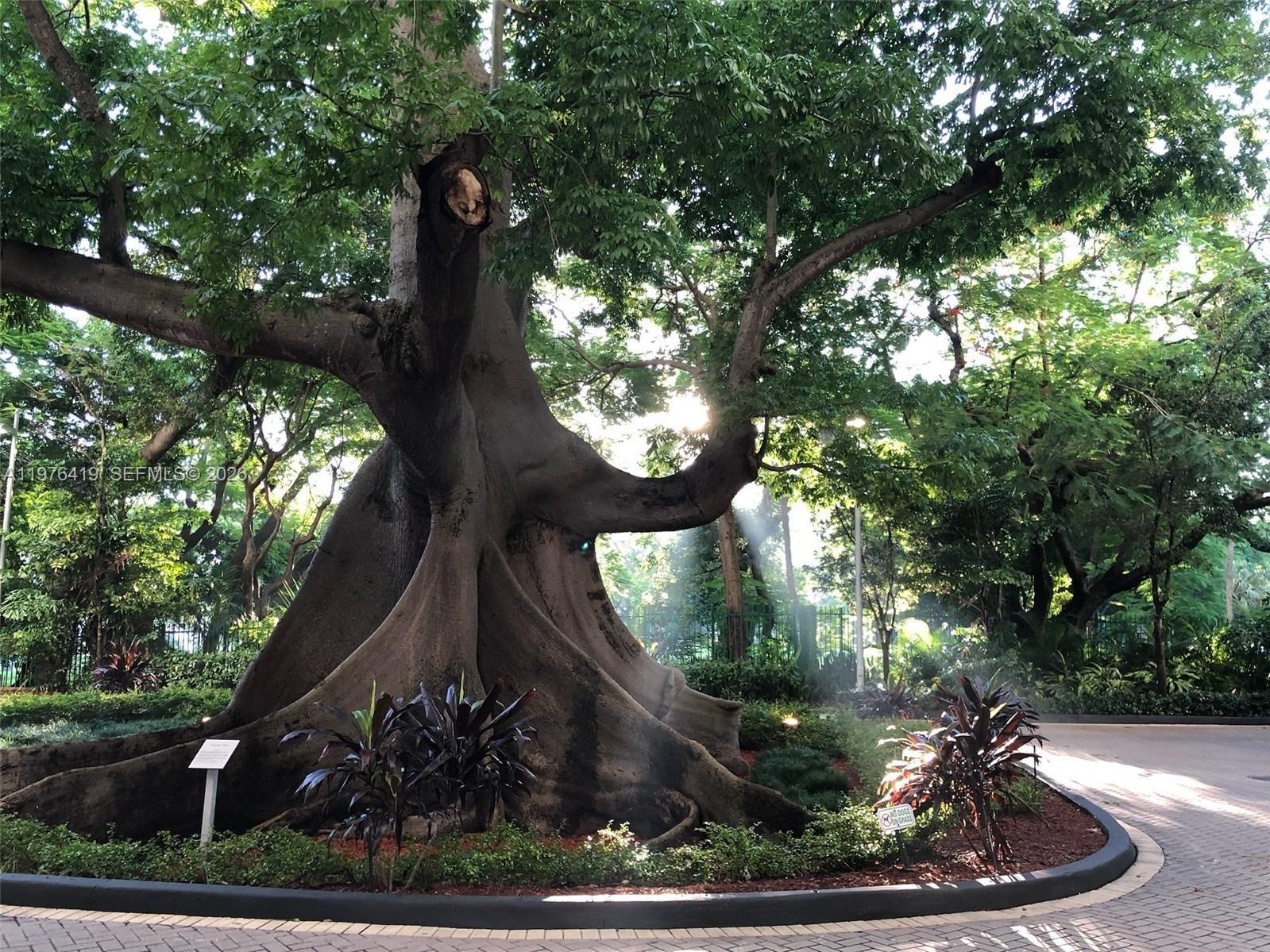 TERRAZAS RIVERPARK VILLAG - Residential Lease