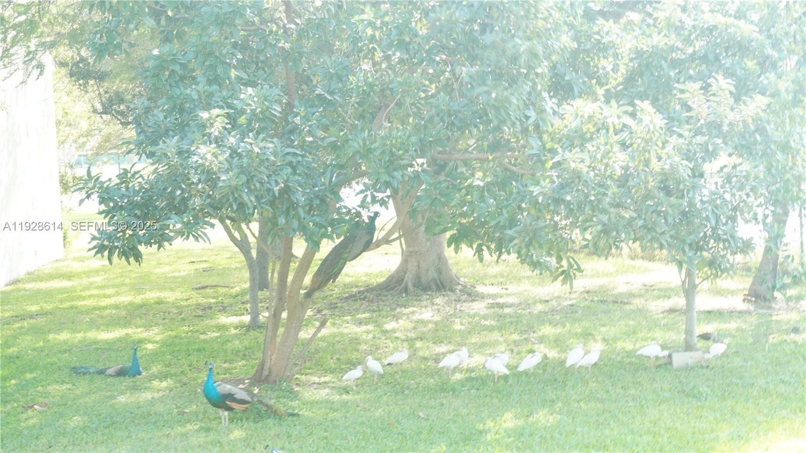 CUTLER CREEK VILLAGE COND - Residential Lease