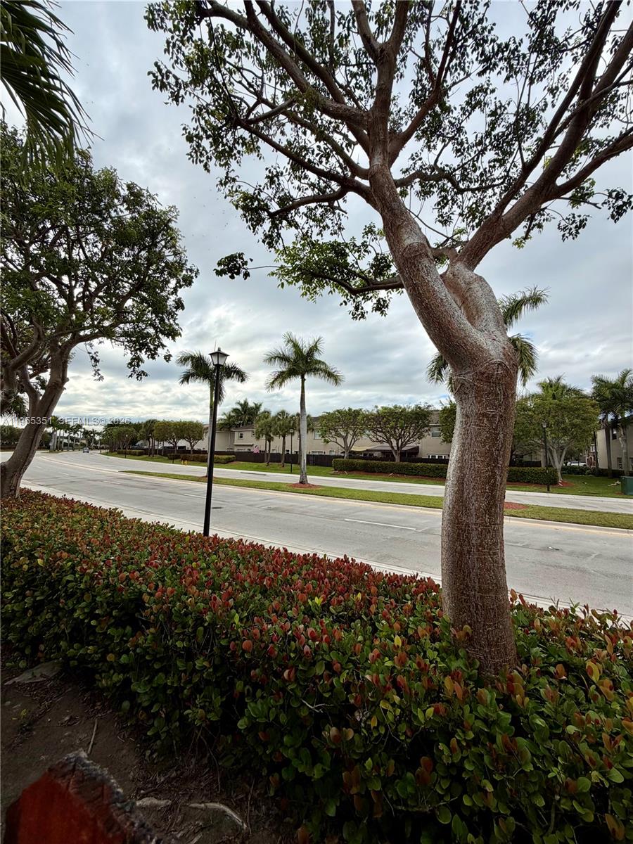 TRELLIS AT BAYSHORE - Residential