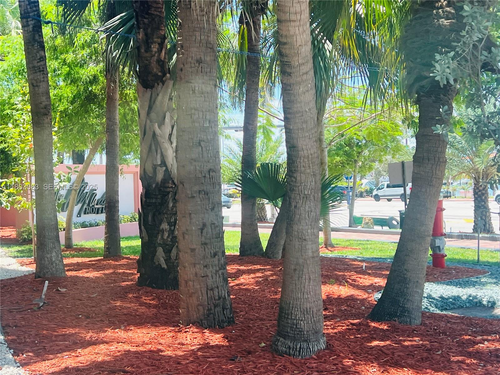 THE ALEXANDER CONDO - Residential