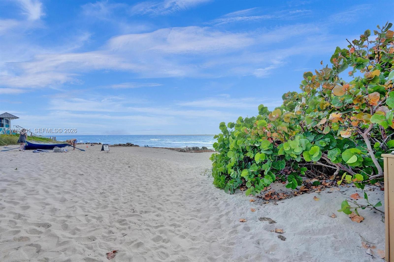 OCEAN HARBOR CONDO - Residential