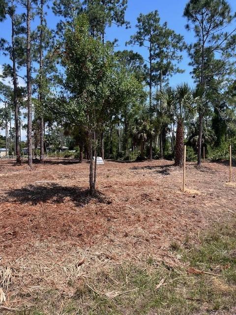 Lee County Unincorporated - Land