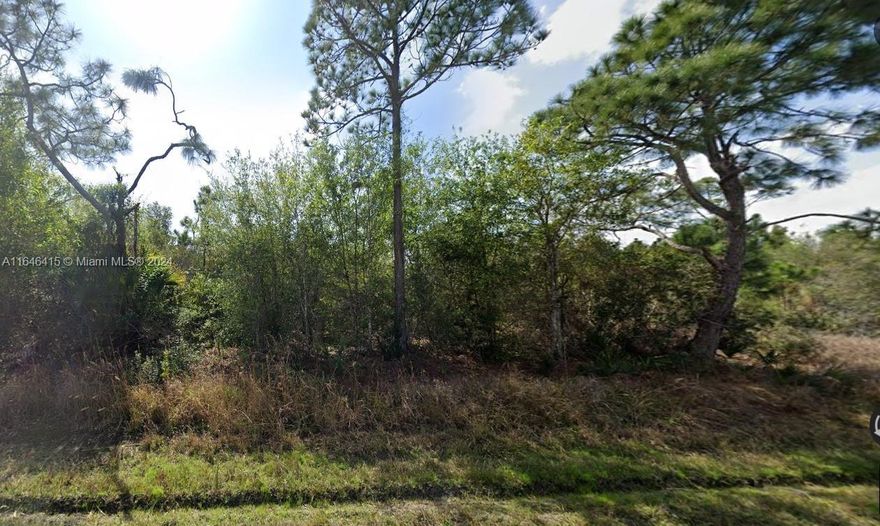 Lot for home construction located in the heart of Punta Gorda with Generous size with enough space to design and build according to your needs, with easy access and direct connection to main roads. In a natural environment to enjoy the tranquility and beauty of the area, with landscapes that will make you fall in love.