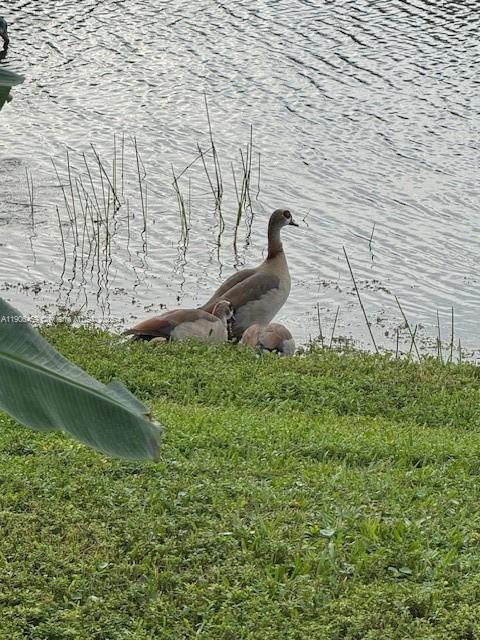 THE GLADES - Residential