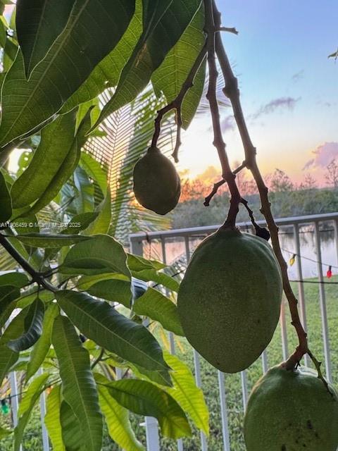 THE GLADES - Residential