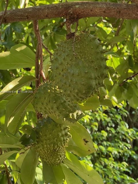 THE GLADES - Residential