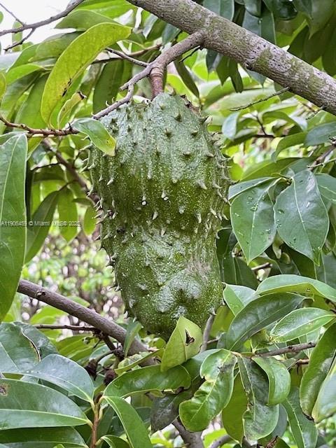 THE GLADES - Residential