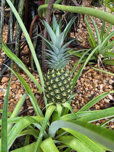 THE GLADES - Residential