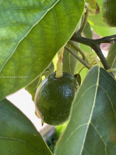 THE GLADES - Residential