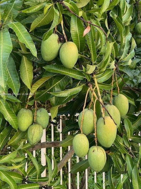 THE GLADES - Residential