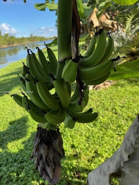 THE GLADES - Residential