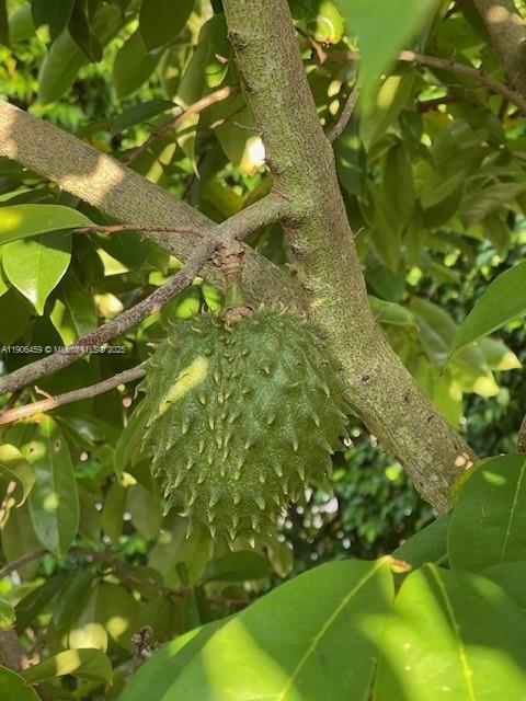 THE GLADES - Residential