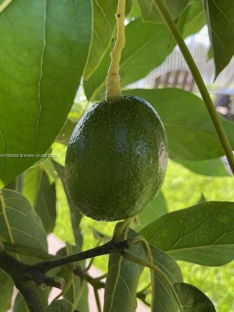 THE GLADES - Residential