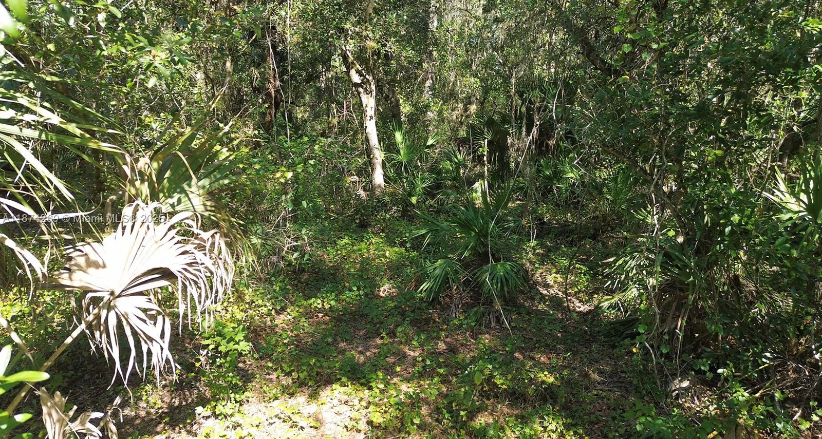 The Prairies At Okeechobee - Land