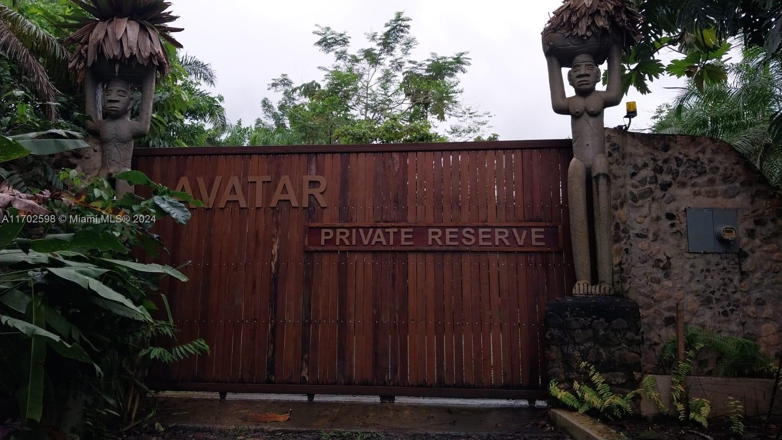 Avatar Corcovado