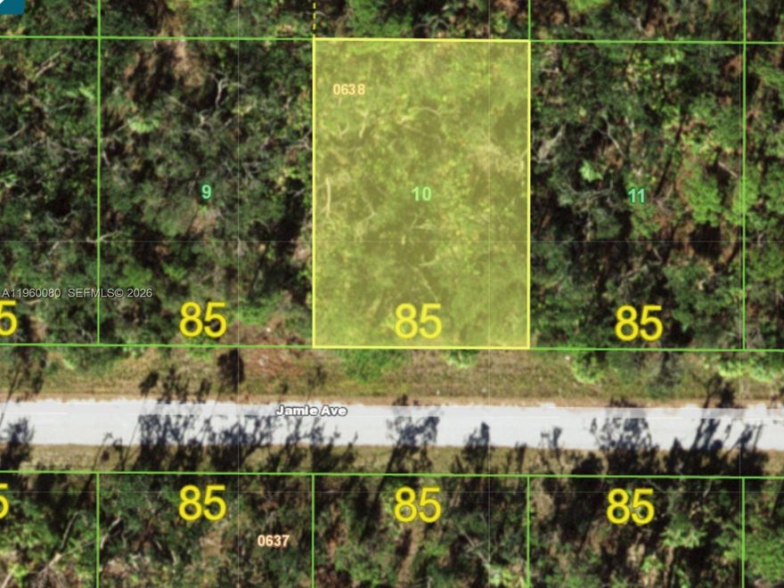 Discover the perfect setting for your dream home. Situated in a quiet, established neighborhood with no HOA, this property offers convenient access to shopping, dining, schools, medical facilities, and major roadways. Enjoy the Florida lifestyle with nearby beaches, golf courses, parks, and boating opportunities just a short drive away. Whether you’re looking to build now or invest for the future, this lot presents an excellent opportunity in a growing area of Southwest Florida.