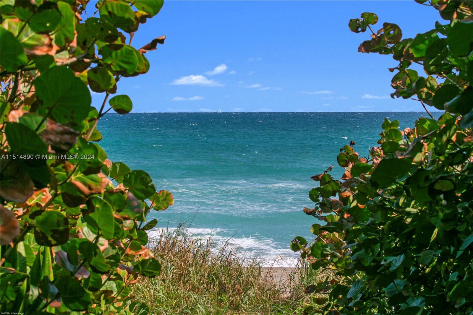 ISLAND BEACH - Residential