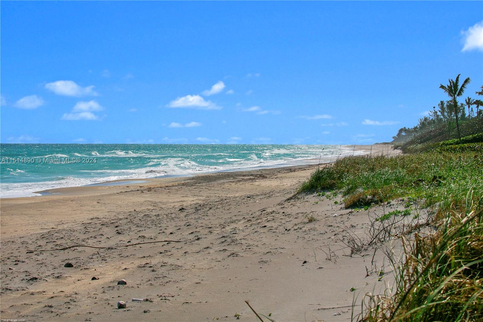 ISLAND BEACH - Residential