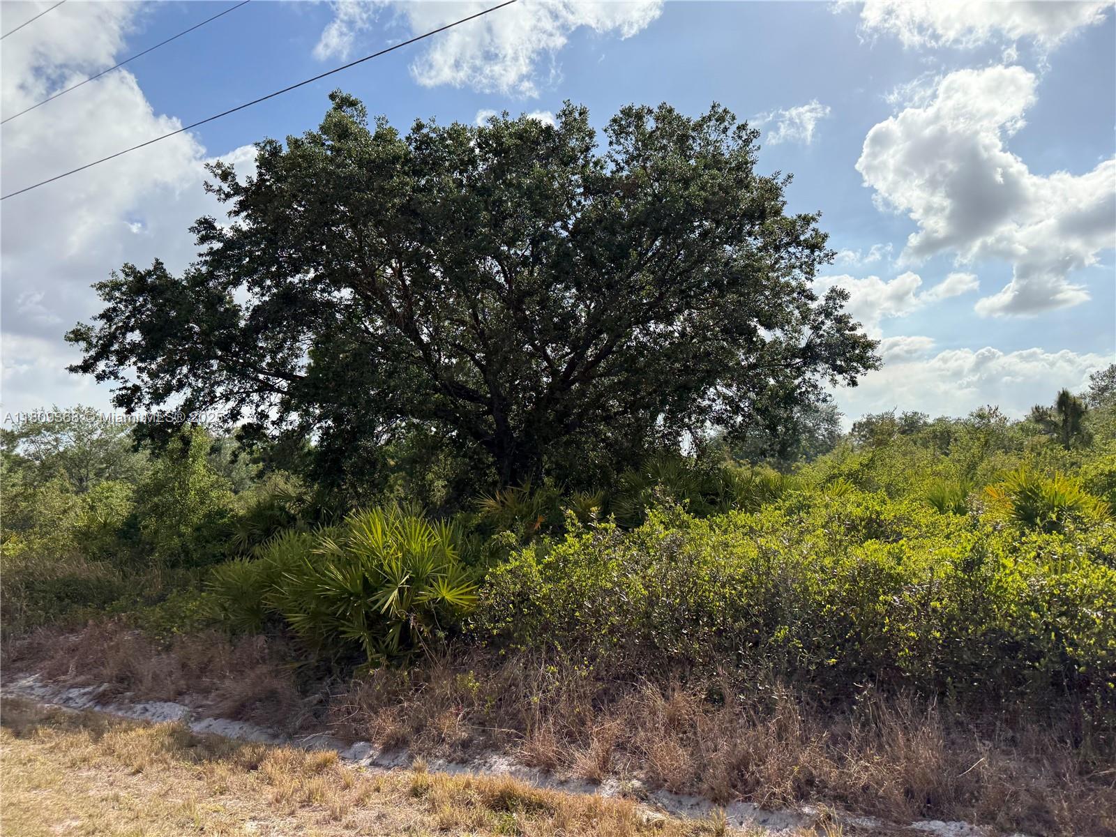 1.25 ACRES AT MONTURA RANCH ESTATES, HUNTING CLUB AND LIVE OAK ST! GREAT LOCATION
YOU CAN DECIDE THE TREES YOU WANT IT!!! PRICE TO SELL FAST!! BEST OPTION IN THE MARKET! NO WETLAND!
GREAT INVESTMENT OPPORTUNITY! YOU CAN BUILD YOUR DREAM HOUSE OR INSTALL YOUR MOBILE HOME ENDLESS POSSIBILITIES!!! YOU CAN HAVE YOUR WEEKEND GETAWAY FROM THE CITY, JUST 65 MILES FROM WESTON, 90 MILES FROM MIAMI, YOU CAN HAVE YOUR FARM ANIMALS AND ENJOY THE CAMP STYLE OF MONTURA RANCH ESTATE YOU CAN GO DIRECTLY TO THE PROPERTY AND CALL ME OR TEXT ME IF YOU NEED ANY EXTRA INFORMATIO